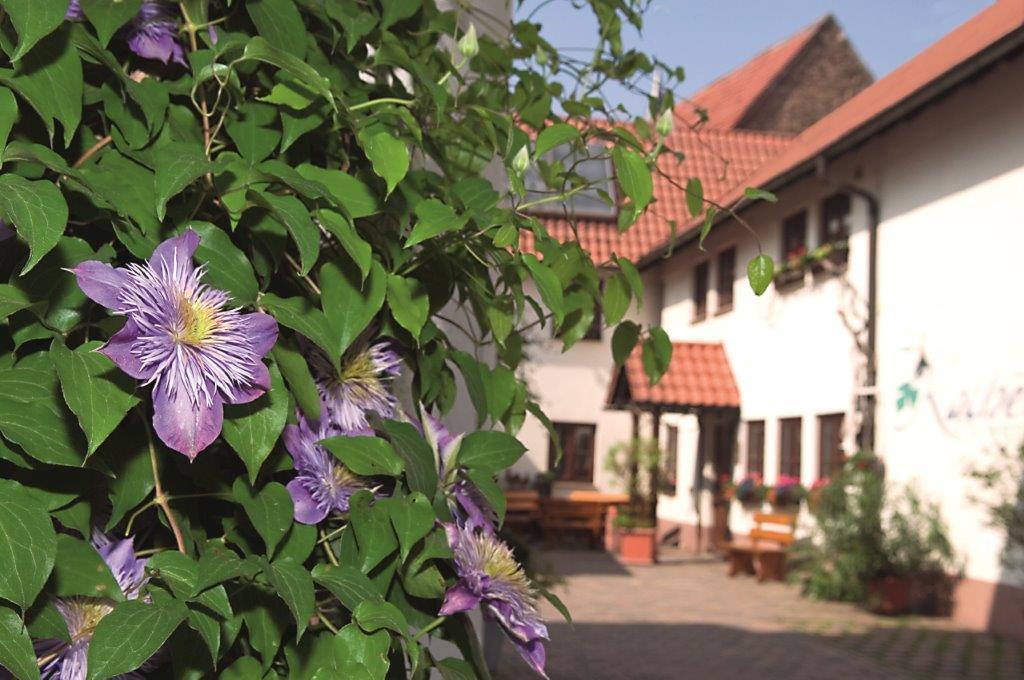 Pension Gaestehaus Kachelofa Vaihingen an der Enz Exterior photo